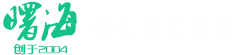 曙海培訓(xùn)，工程師的項(xiàng)目導(dǎo)師